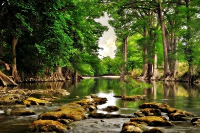 Nature Widescreen Resolution