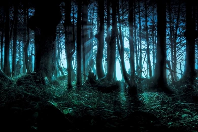 HD Spooky Wallpapers And Photos