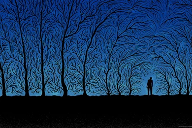 Download 2560x1600 The Spooky Forest Wallpapers