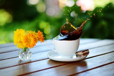 Top Books And Flowers Wallpapers