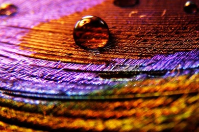 Colorful Cloth iPad Wallpapers Download