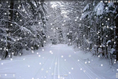 Winter Snow Live Wallpapers PRO   Android Apps On Google Play