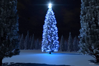 Live Winter Wallpapers For Android – 1920×1200 High Definition ...