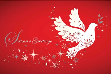 Seasons Greetings And Happy New Year 2013   The Wondrous Pics