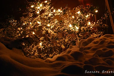 Wallpapers Nuclear Hd Widescreen Seasons Greetings X 1920x1080 ...