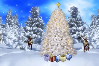 Free Christmas Screensavers Backgrounds   Wallpapers Cave