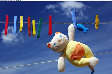 New Wallpapers   HD Images New