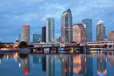 Kyle Rooney: Tampa High Quality Wallpapers