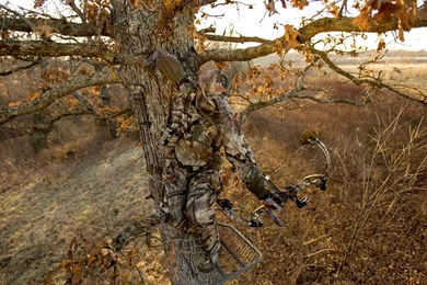 Mossy Oak Treestand Camo User