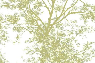 Silhouette Pattern Wallpaper Images