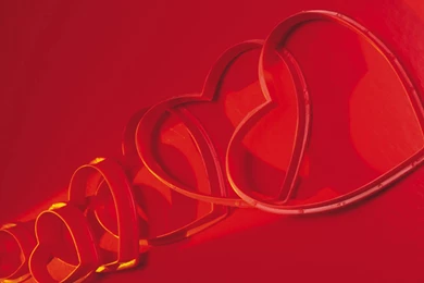 Download Love Hearts Wallpapers 1920x1200