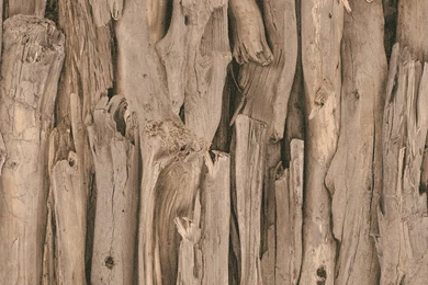 Rasch Tree Bark Pattern Realistic Faux Effect Mural Wallpapers 473216