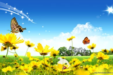 Beautiful Nature Cool Backgrounds Wallpapers – Windows 10 Wallpapers