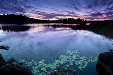 Fantastic Zen Wallpapers