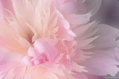 HD Wallpapers For Mac 1280x800   Wallpapers Cave