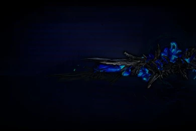 Dark Blue Wallpapers HD