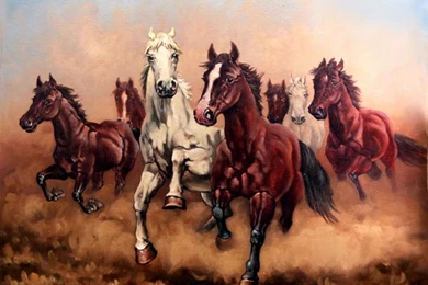 Seven Horses Wallpapers   Wallpapers Zone