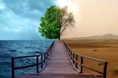 Ocean,trees Ocean Trees Desert Bridges Opposing Force Good Vs Evil ...
