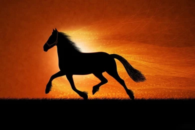 Desktop Wallpapers · Gallery · Windows 7 · Running Horses