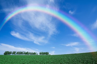 What's A Rainbow?   The Tibby