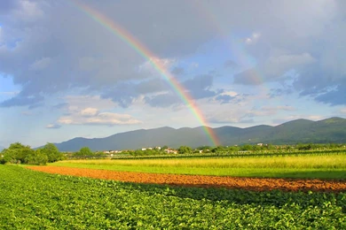 Real Rainbow Backgrounds, Wallpaper, Real Rainbow Backgrounds Hd ...