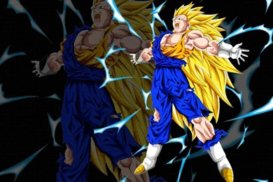 Vegetto Super Saiyan 3 Wallpapers