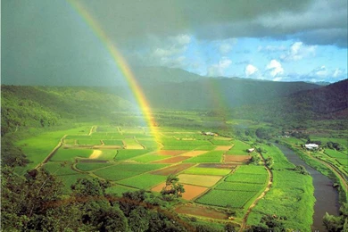 Rainbow – Page 2 – Windows 10 Wallpapers