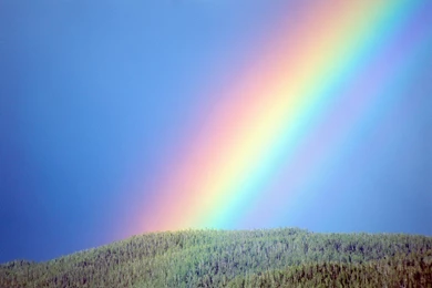 Rainbow Images