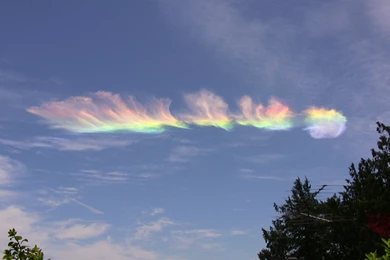 Greek/American Culture, Marriage And “YiaYia