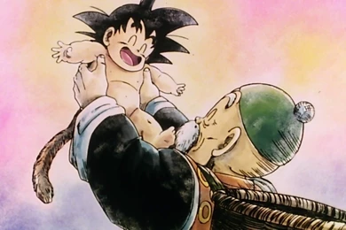 Goku & Granpa Gohan*   Dragon Ball Z Wallpapers (35593869)   Fanpop