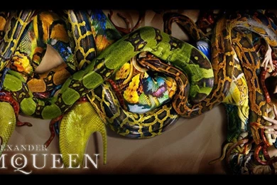 Alexander Mcqueen Wallpapers   Wallpapers Cave