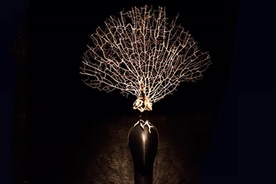 Savage Beauty   Garance Doré