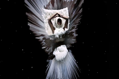 Fashion As Art: The Savage Beauty Of Alexander McQueen   Eluxe ...