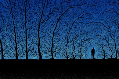 Wallpaper: Wallpapers Universe 2