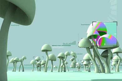 Fake Titles   The Pub   Shroomery Message Board