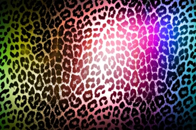 Leopard Print Wallpapers