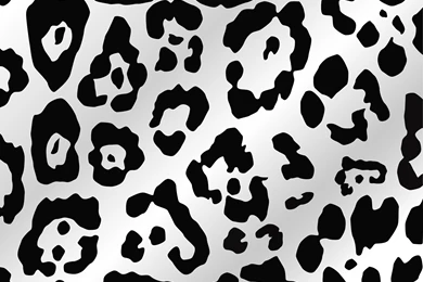 Leopard Print Wallpapers