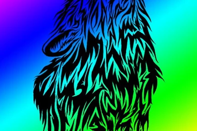 Rainbow Wolf Wallpapers Along With Rainbow Lorikeet Drawing ...