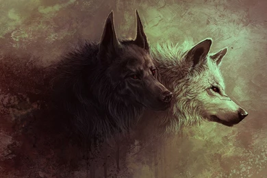 Fresh HD Wallpapers   Fresh HD Wallpapers   HiFi Papers