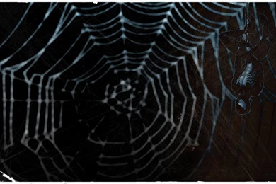 Spider Man: Symbiote