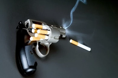 Funny Hd Wallpapers   Free Hd Wallpapers