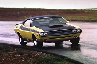 1970 Dodge Challenger Images. Photo: 1970 Dodge Challenger Image ...