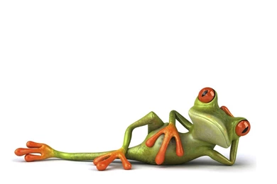 HD funny hd wallpapers 1080p download.jpg