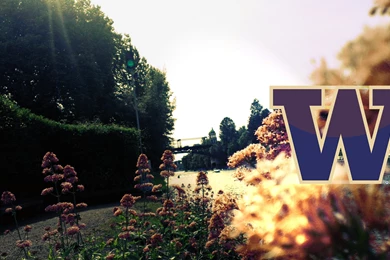 University Of Washington Wallpapers By Minotaurfayt On DeviantArt