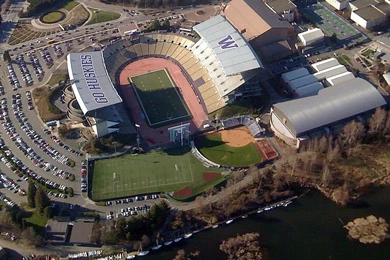 Washington Huskies Wallpapers