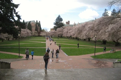 Spotlight On University Of Washington