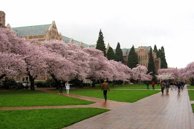 Top Most Universities In The World – Page 2 – Studycrow