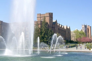 UW Scenes