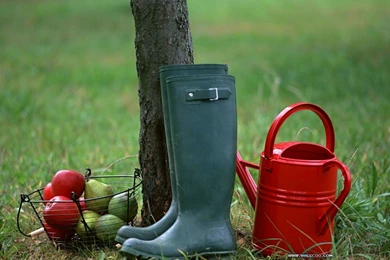 Family Garden   Backyard Gardening Wallpapers 1024x768 NO.22 ...