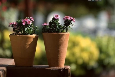 Garden Design Pictures   Backyard Garden Wallpapers7   Wallcoo.net